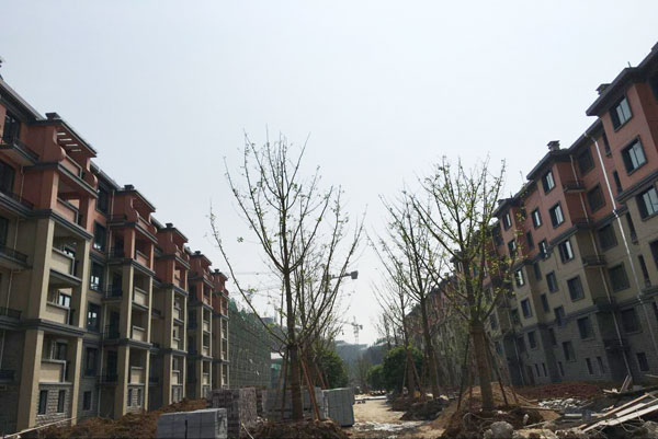 暂无图片